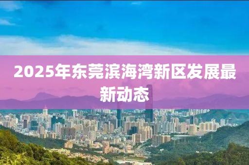 2025年东莞滨海湾新区发展最新动态