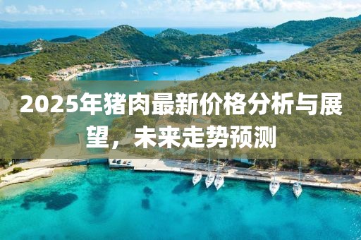 2025年猪肉最新价格分析与展望，未来走势预测