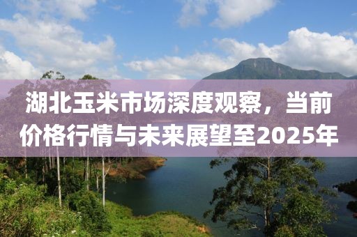 湖北玉米市场深度观察，当前价格行情与未来展望至2025年