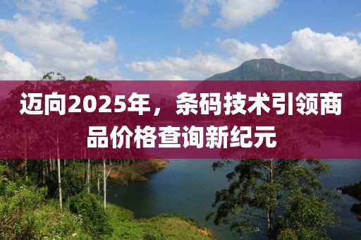 迈向2025年，条码技术引领商品价格查询新纪元