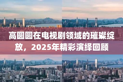 高圆圆在电视剧领域的璀璨绽放，2025年精彩演绎回顾