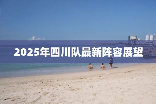 2025年四川队最新阵容展望