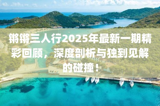 锵锵三人行2025年最新一期精彩回顾，深度剖析与独到见解的碰撞！