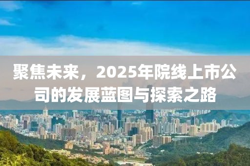 聚焦未来，2025年院线上市公司的发展蓝图与探索之路