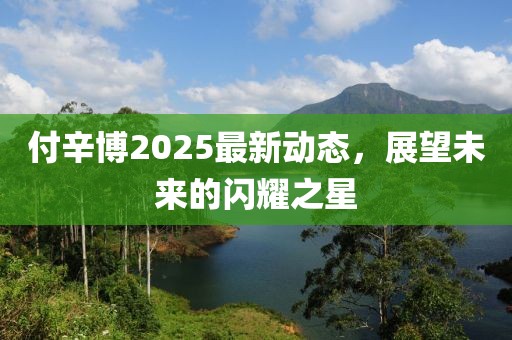 付辛博2025最新动态，展望未来的闪耀之星