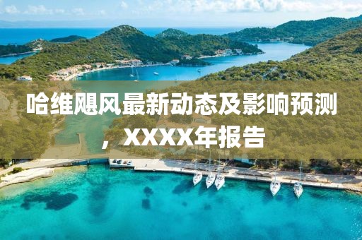哈维飓风最新动态及影响预测，XXXX年报告