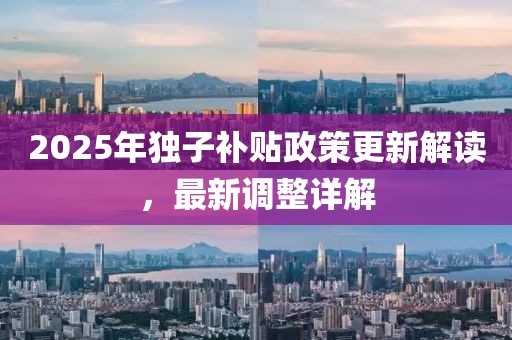 2025年独子补贴政策更新解读，最新调整详解