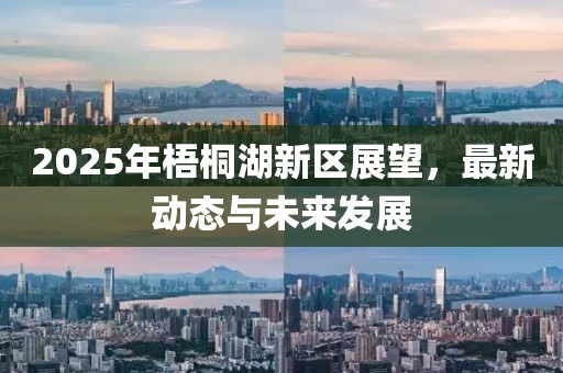 2025年梧桐湖新区展望，最新动态与未来发展
