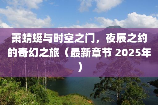 萧蜻蜓与时空之门，夜辰之约的奇幻之旅（最新章节 2025年）