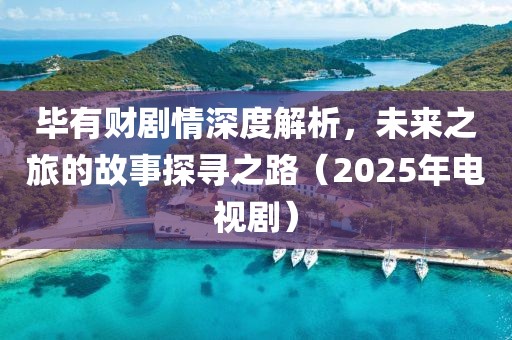 毕有财剧情深度解析，未来之旅的故事探寻之路（2025年电视剧）