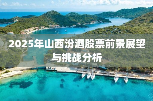 2025年山西汾酒股票前景展望与挑战分析