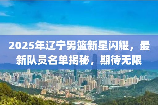 2025年辽宁男篮新星闪耀，最新队员名单揭秘，期待无限