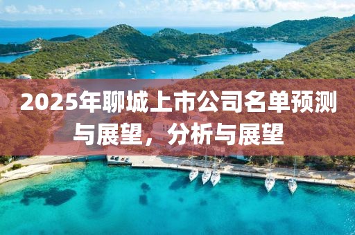 2025年聊城上市公司名单预测与展望，分析与展望