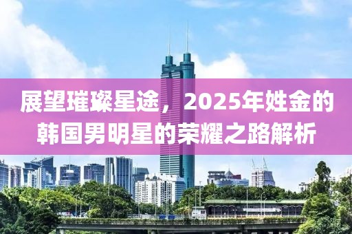 展望璀璨星途，2025年姓金的韩国男明星的荣耀之路解析