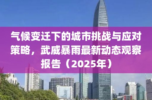 气候变迁下的城市挑战与应对策略，武威暴雨最新动态观察报告（2025年）
