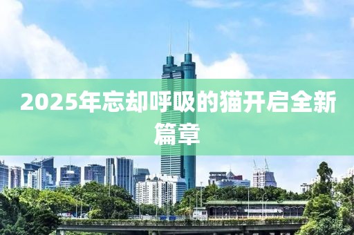2025年忘却呼吸的猫开启全新篇章