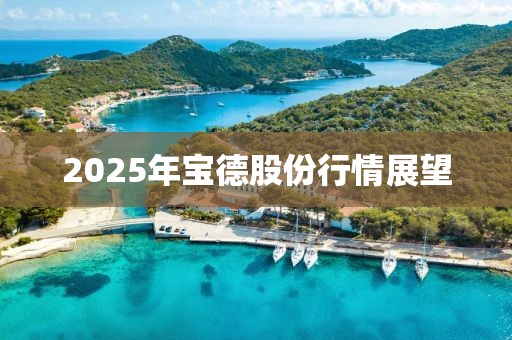 2025年宝德股份行情展望