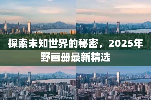 探索未知世界的秘密，2025年野画册最新精选