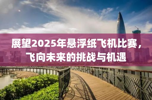 展望2025年悬浮纸飞机比赛，飞向未来的挑战与机遇