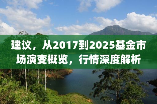 建议，从2017到2025基金市场演变概览，行情深度解析