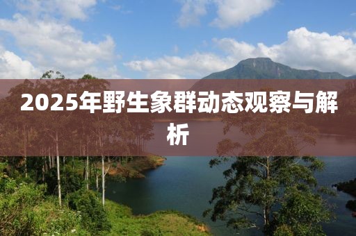 2025年野生象群动态观察与解析