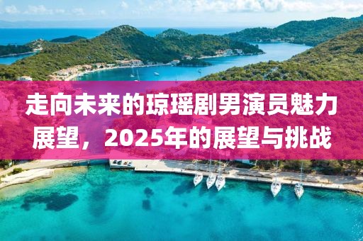 走向未来的琼瑶剧男演员魅力展望，2025年的展望与挑战