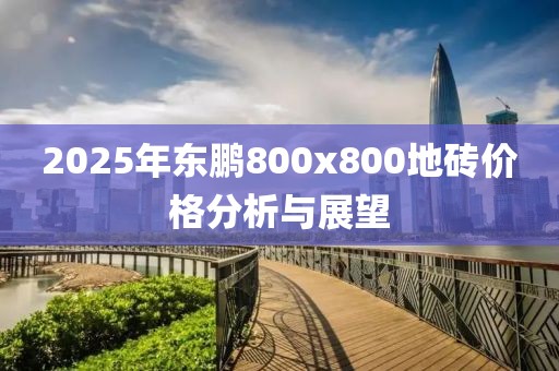 2025年东鹏800x800地砖价格分析与展望