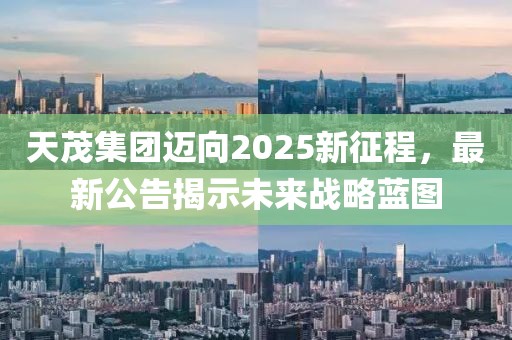 天茂集团迈向2025新征程，最新公告揭示未来战略蓝图