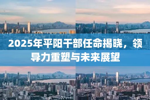 2025年平阳干部任命揭晓，领导力重塑与未来展望