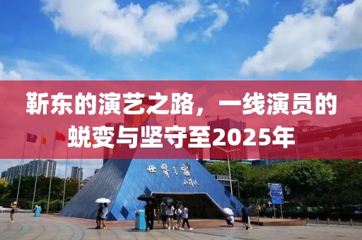 靳东的演艺之路，一线演员的蜕变与坚守至2025年