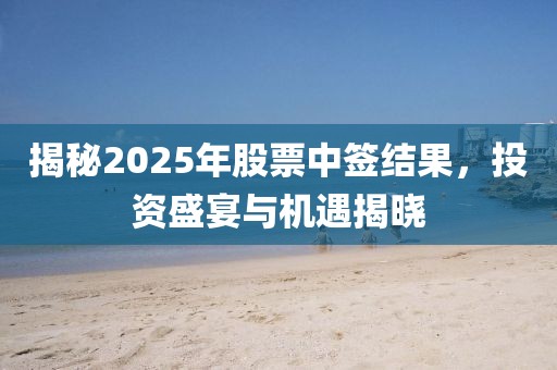 揭秘2025年股票中签结果，投资盛宴与机遇揭晓