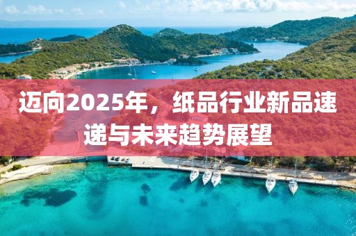 迈向2025年，纸品行业新品速递与未来趋势展望