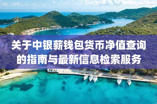 关于中银薪钱包货币净值查询的指南与最新信息检索服务
