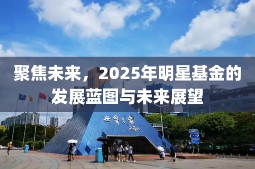聚焦未来，2025年明星基金的发展蓝图与未来展望