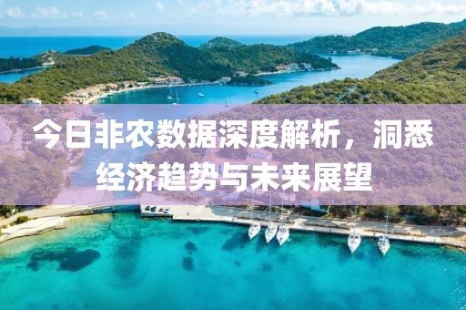 今日非农数据深度解析，洞悉经济趋势与未来展望