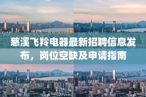 慈溪飞羚电器最新招聘信息发布，岗位空缺及申请指南
