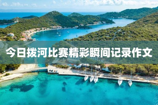 今日拨河比赛精彩瞬间记录作文