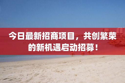 今日最新招商项目，共创繁荣的新机遇启动招募！
