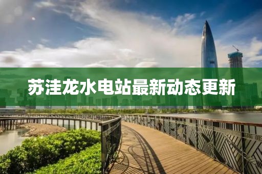 苏洼龙水电站最新动态更新