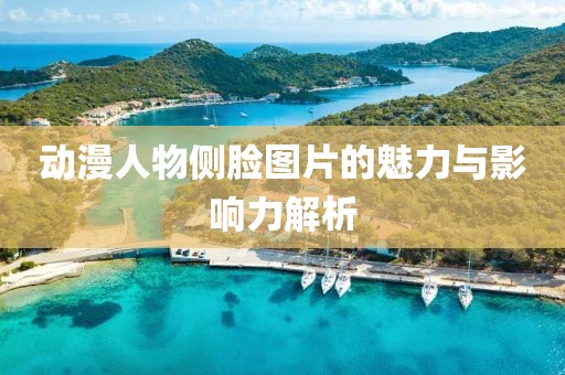 动漫人物侧脸图片的魅力与影响力解析