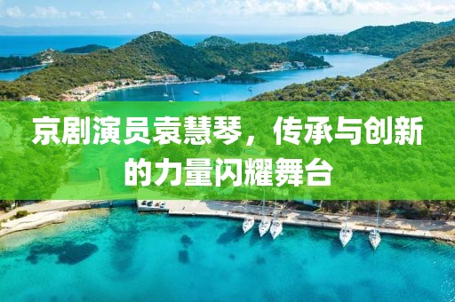 京剧演员袁慧琴，传承与创新的力量闪耀舞台
