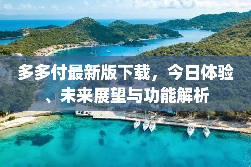 多多付最新版下载，今日体验、未来展望与功能解析