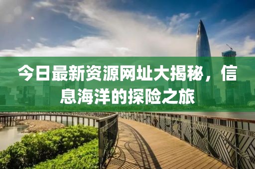 今日最新资源网址大揭秘，信息海洋的探险之旅