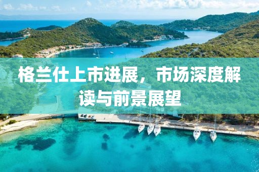 格兰仕上市进展，市场深度解读与前景展望
