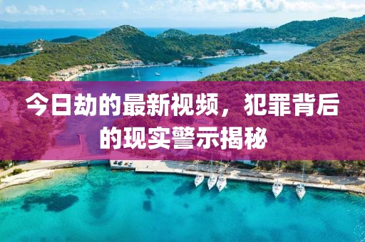 今日劫的最新视频，犯罪背后的现实警示揭秘