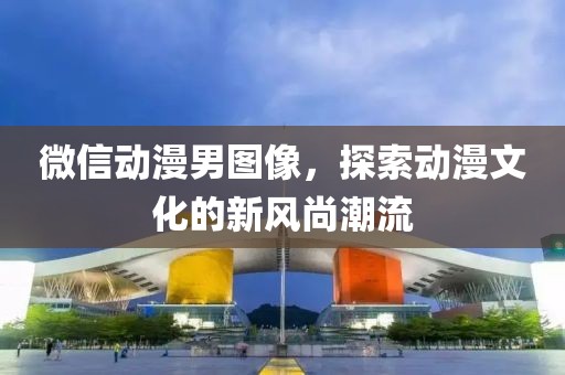 微信动漫男图像，探索动漫文化的新风尚潮流