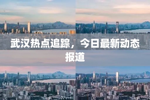 武汉热点追踪，今日最新动态报道
