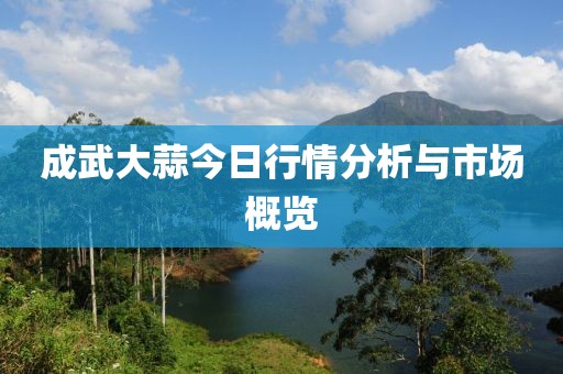 成武大蒜今日行情分析与市场概览