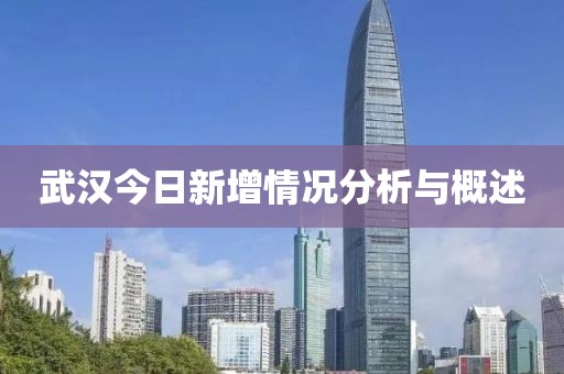 武汉今日新增情况分析与概述