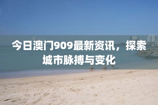 今日澳门909最新资讯，探索城市脉搏与变化